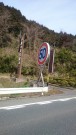 やっぱデカいね